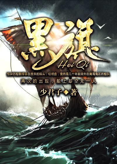 黑旗500参数配置